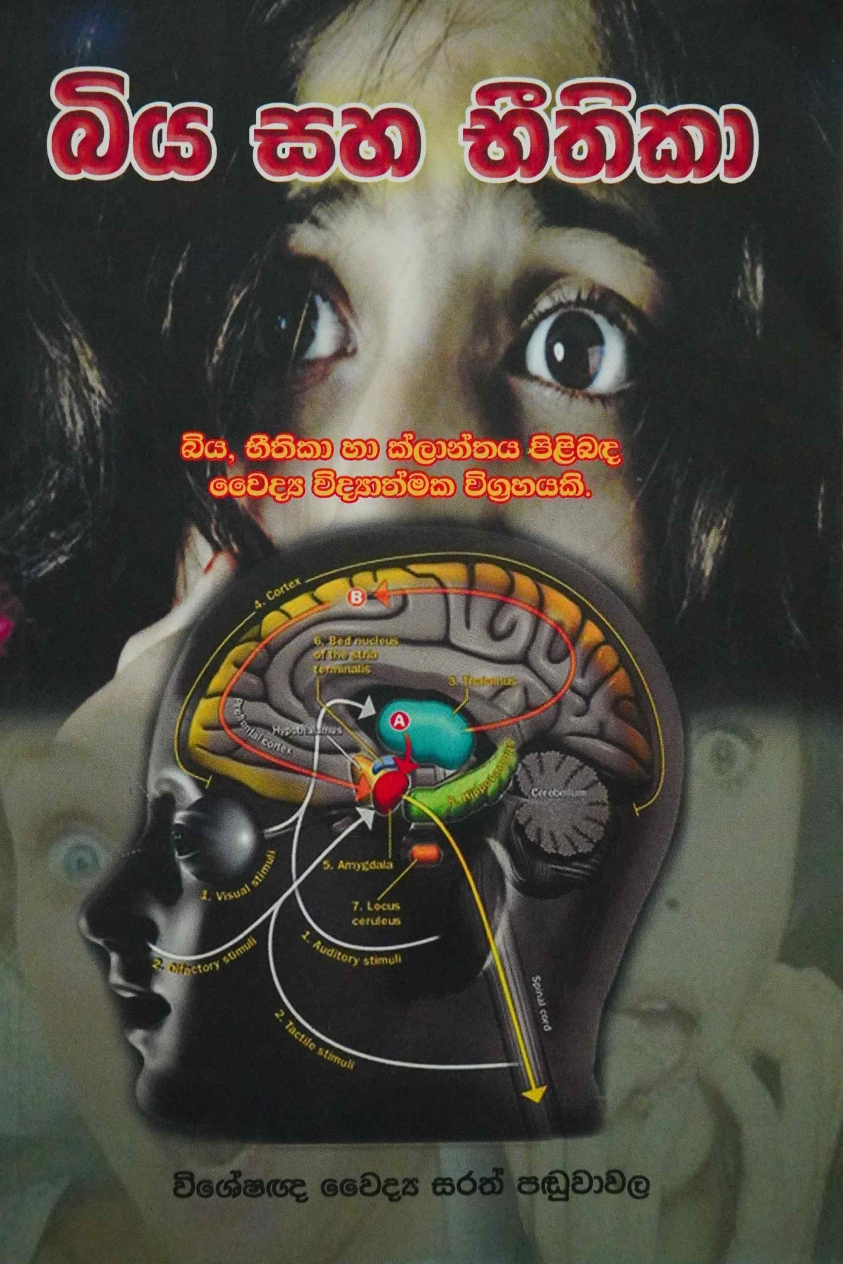 බිය සහ භීතිකාව - Biya saha bithika