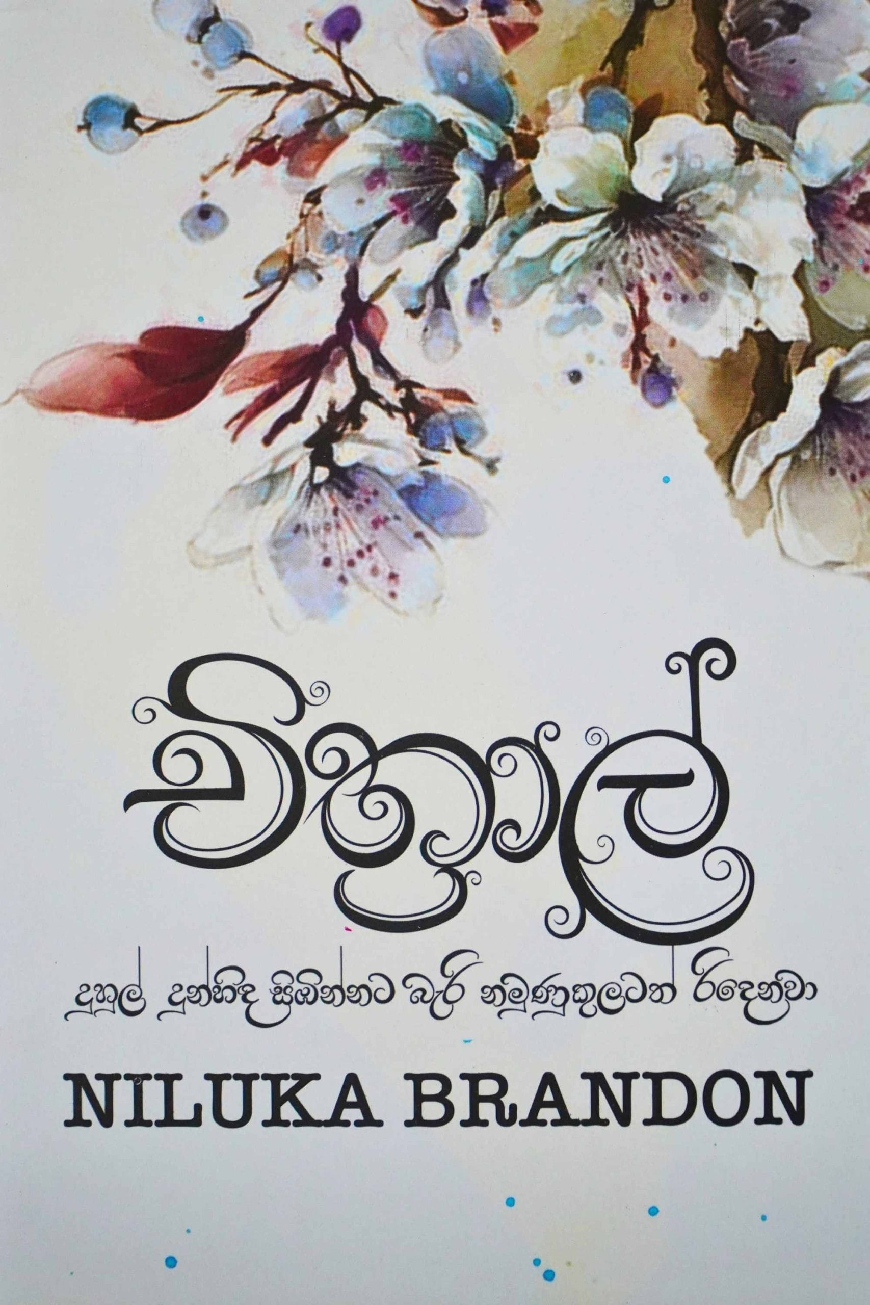 චිත්රාල් - Chithral